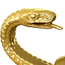 Snake Medallion